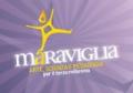 Maraviglia Art, Science and Education Festival